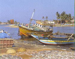 Beached fishing boat