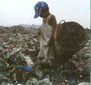 Boy picking over rubbish